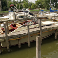 Sons Spot at the Dock